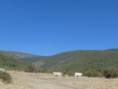 Puerto del Reventón y Puerto de las Calderuelas; sendero mallorca senderos galicia senderos gran rec